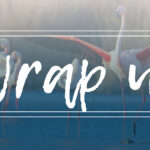 wrap up may april in review